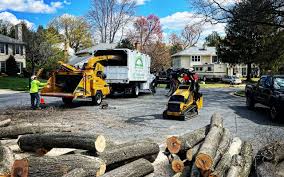 How Our Tree Care Process Works  in  Adair Village, OR
