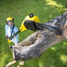 Best Landscape Design and Installation  in Adair Village, OR