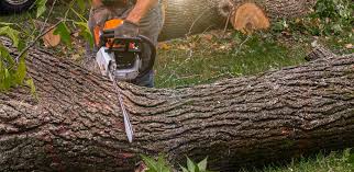 Best Soil Testing and Treatment  in Adair Village, OR