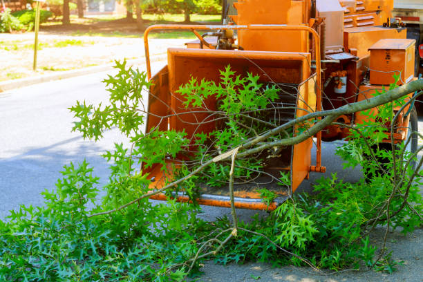  Adair Village, OR Tree Services Pros