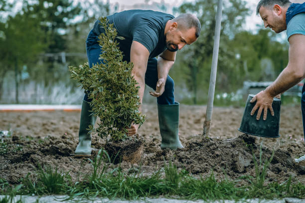 Best Storm Damage Tree Cleanup  in Adair Village, OR