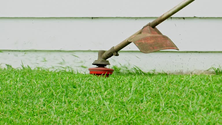 Best Lawn Maintenance Plans  in Adair Village, OR